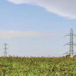 L'énergie solaire photovoltaïque : une solution durable pour l'avenir énergétique